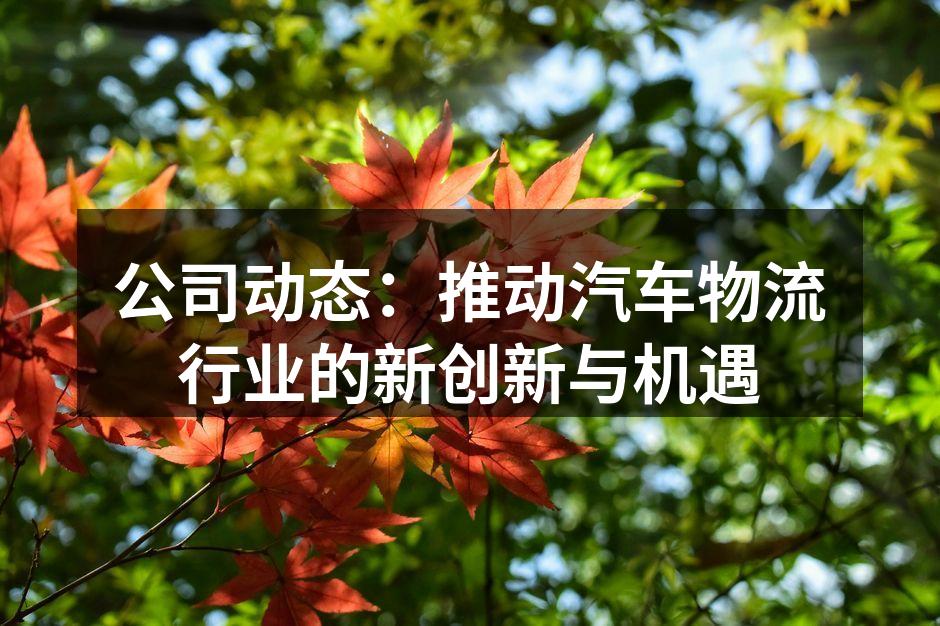 汽车物流运输现场