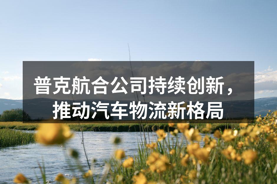 普克航合公司最新研发的智能调度系统